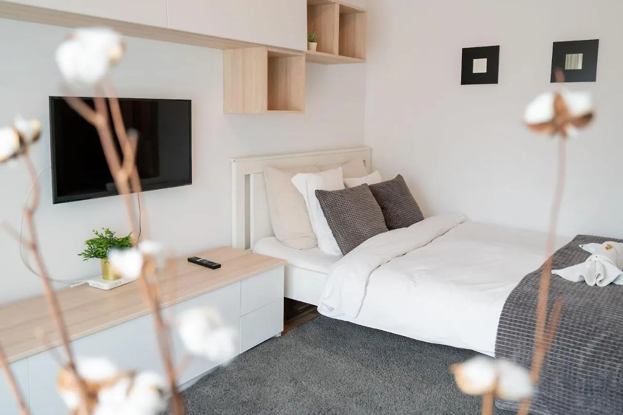 Апартаменты 21 Residence Studio Бухарест