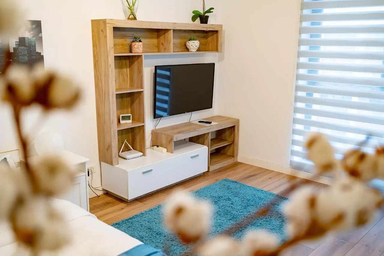 Апартаменты 21 Residence Studio Бухарест